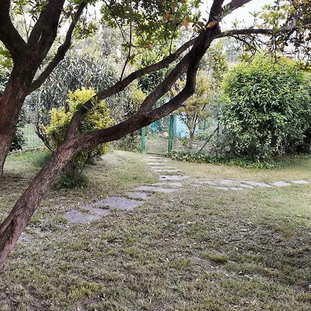 Mirella Cisano Bergamasco