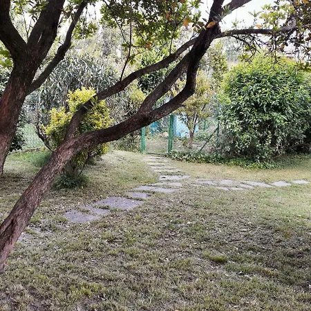 Mirella Cisano Bergamasco